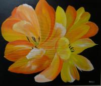 Open tulpen olieverf 60 x 60